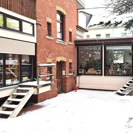 In Falkenstein With Wood-burning Stove Apartment *