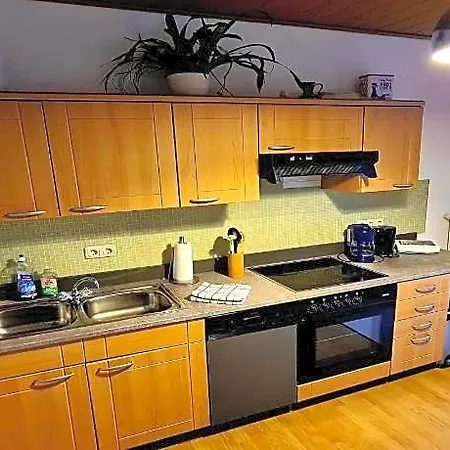 公寓 Mit Kamin Im Voigtland
