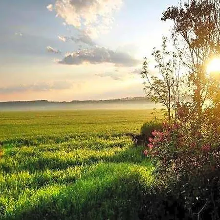 Mit Kamin Im Voigtland * Falkenstein (Vogtland)