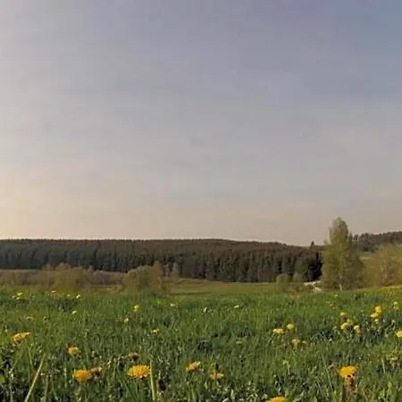 Mit Kamin Im Voigtland 公寓 Falkenstein (Vogtland)