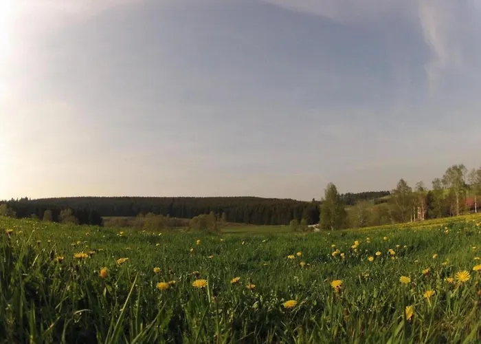 Apartament Ferienwohnung Mit Kamin Im Voigtland *